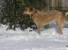 sarah 1st snow