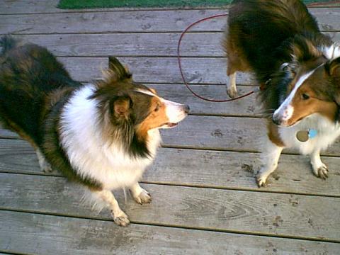 Kassie and Mickie Jan. 2002