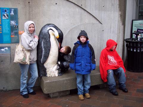 at aquarium