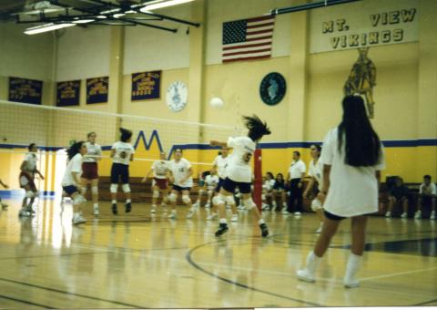 Volleyball Match