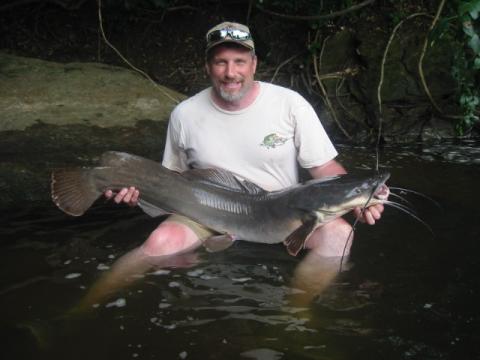 41 lb catfish