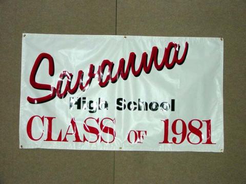 Savanna Banner