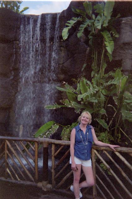 Waterfall in Hawaii