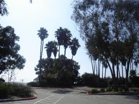 Doheny from parking lot