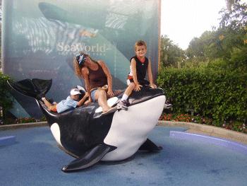 SeaWorld2