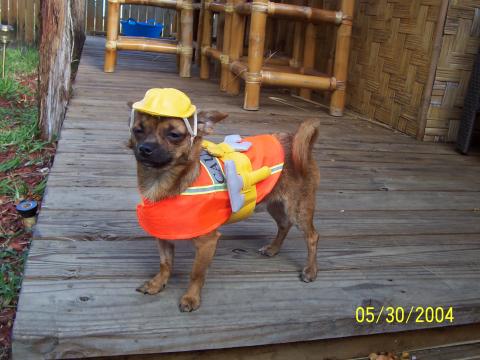 "construction worker