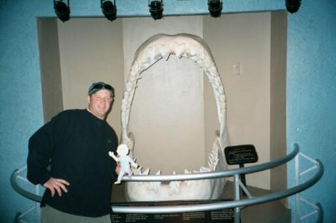Prehistoric Sharkmouth