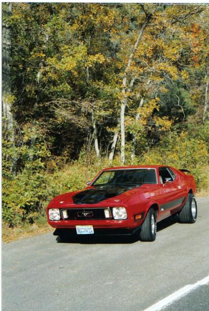 My 73 MACH1- Mt. Charleston