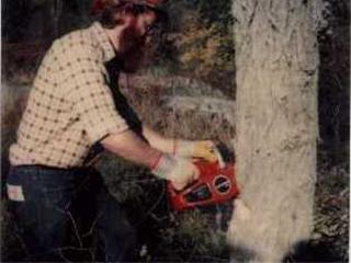 Cutting tree 1972