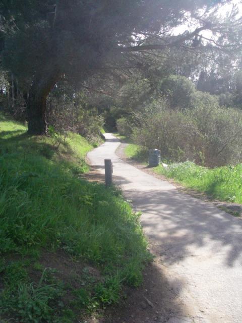 The Famous Trail