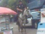 L.A. Cop On Horse