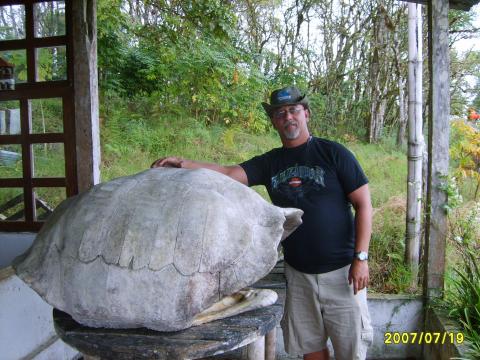 Galapagos Shell