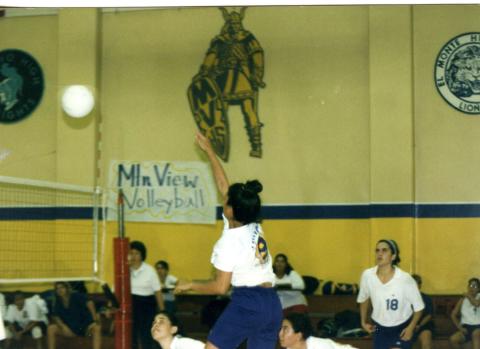 Volleyball Match2