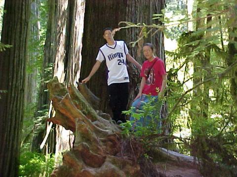 Josh & Tanisha Big Trees N Oregon