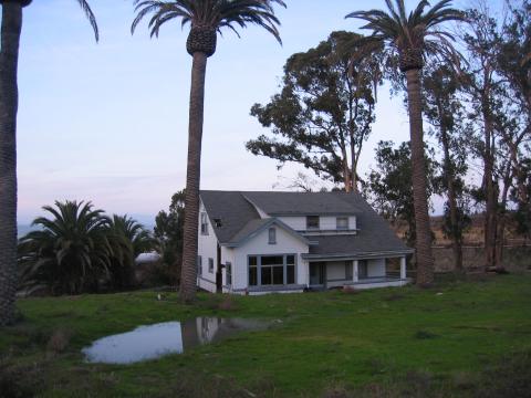 Palms and Bay View