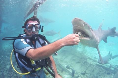 This would be me, feeding a shark
