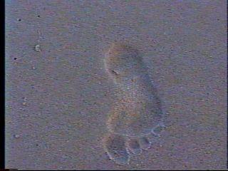 My Footprint in the Sand