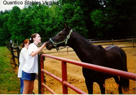 GIRLS___HORSE