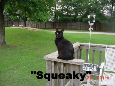 Squeaky