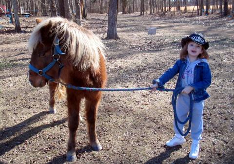 mikaela walking marshall the horse