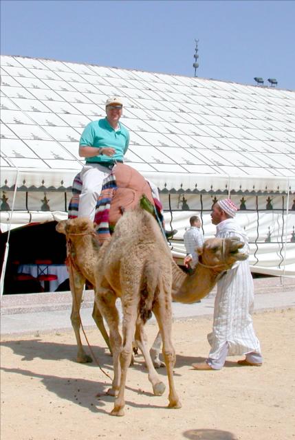 On camel in Morrocco