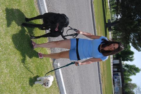 Christy walking the dogs, again!