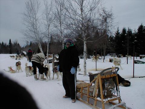 Dogsledding-Quebec