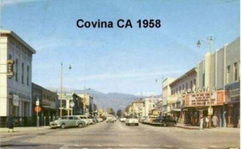 Citrus st. 1958