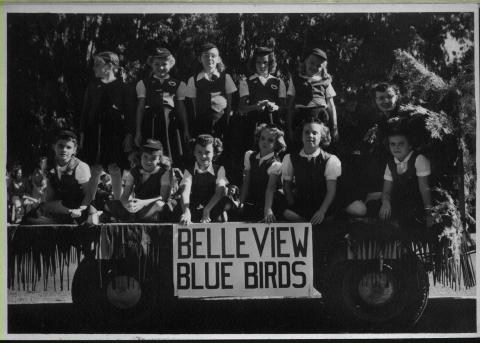 Belleview Blue Birds