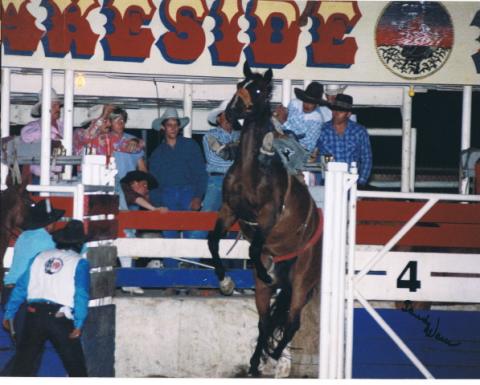 Lakeside Rodeo em