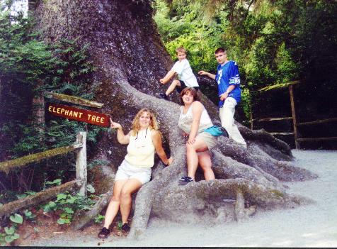 Family on vacation