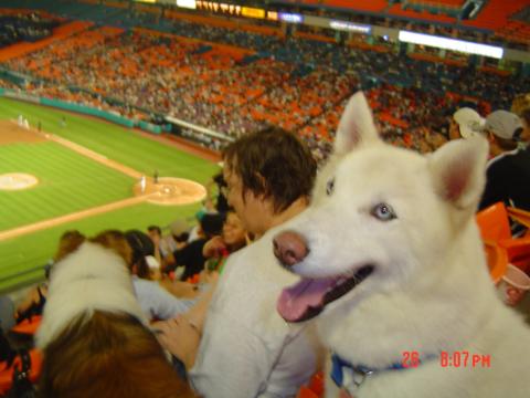 Casper at Marlins Ga