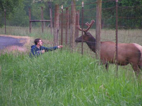 james feeding elk