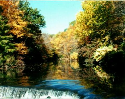 Fall Color and River