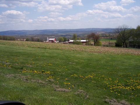 Son Mike's Horse Farm " WindMill Farms