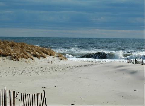 beach_dune2