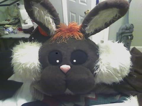 bunny head 1