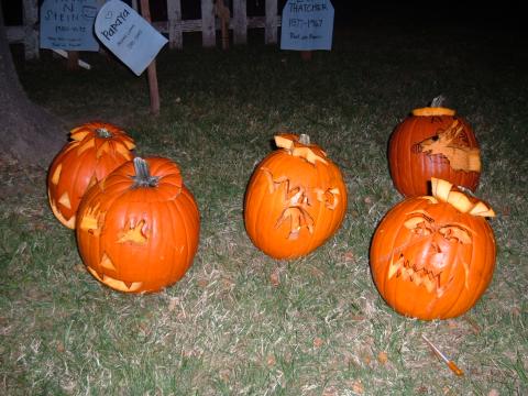 Pumpkins 1