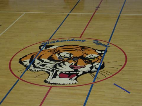 Tiger Head in Gym