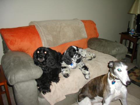 Frankie, Buddy, Jack