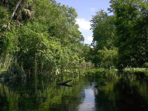 Canoe trip at Rock Springs - 4-7-2001