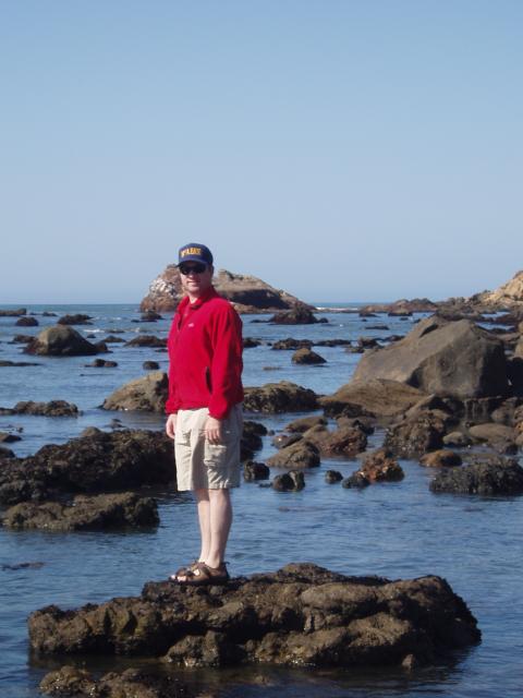 Tide pools