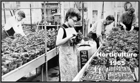 Horticulture-1965