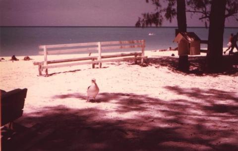 Midway Island 1962