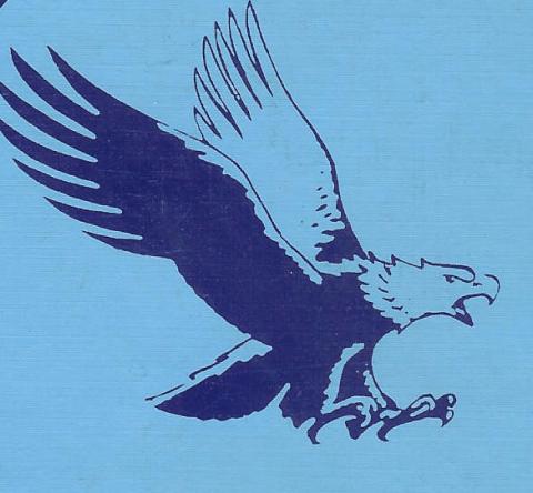 Yearbook 1985  Eagle