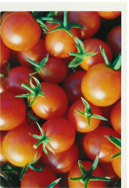 Nice Tomatoes