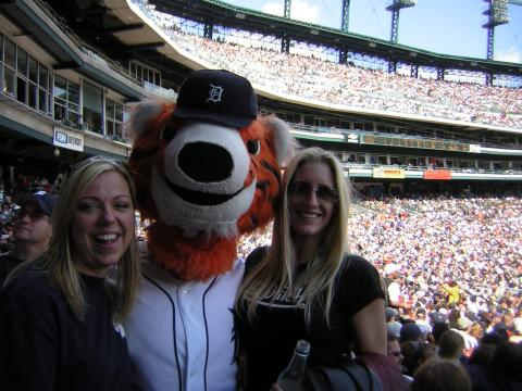 Tiger Game