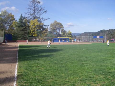 The Baseball Field