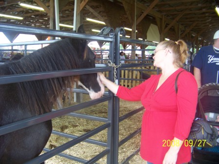 Danville Va County Fair