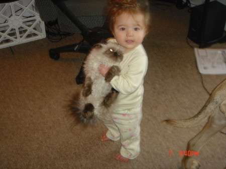 My little Booga Bear and yes that's a real cat